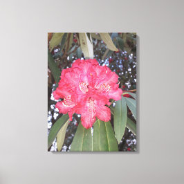 Röda träd-blommor canvastryck