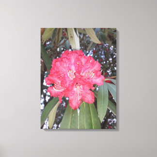 Röda träd-blommor canvastryck