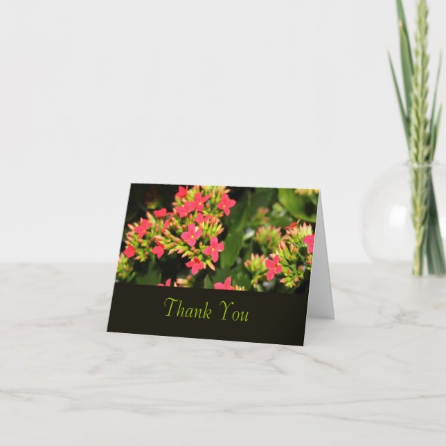 Röda trädgårdsblommor, tack för kortet (Framsida)