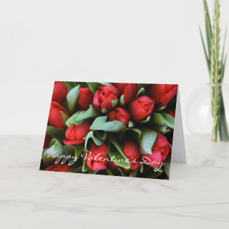 Röda tulips-Bouquet-kort på Alla hjärtans dag Helgkort