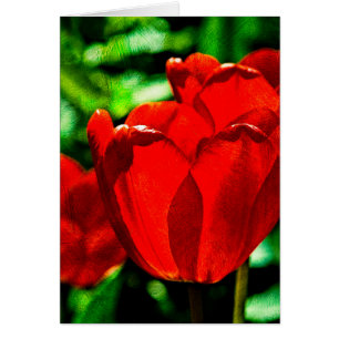 Röda tulpanblommor hälsningskort