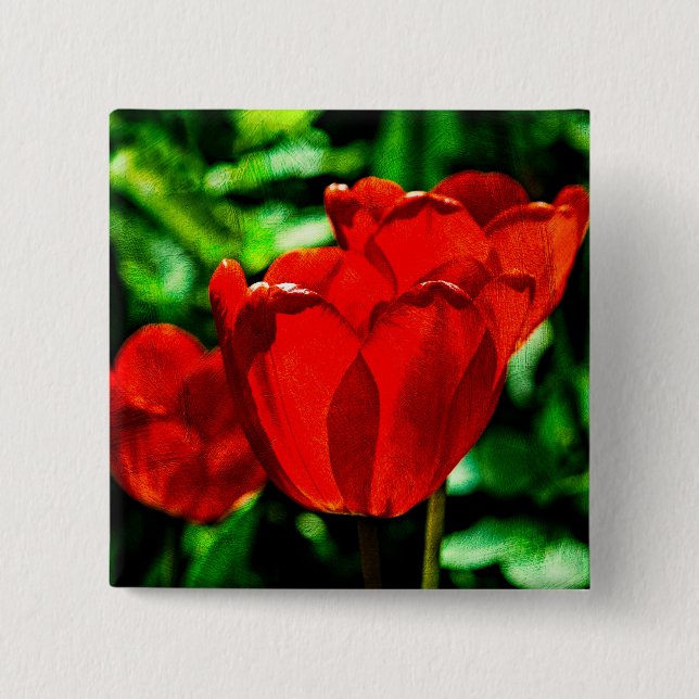 Röda tulpanblommor knapp (Framsida)