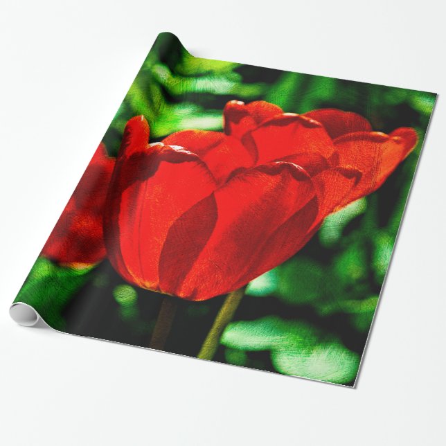 Röda tulpanblommor presentpapper (Utrullad)