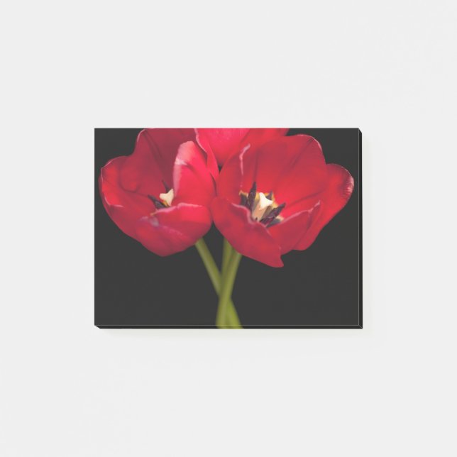 Röda tulpanblommor Svart bakgrund Blommigt blomma Post-it Block (Framsida)