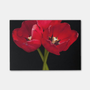 Röda tulpanblommor Svart bakgrund Blommigt blomma Post-it Block