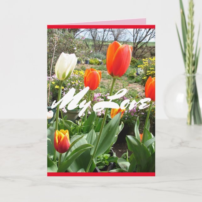 Röda tulpaner Min älskade Vårblommor Kort (Framsida)