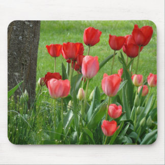 RÖDA TULPANER MUSMATTOR Tulpblommor MUS PAD