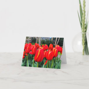 Röda tulpaner - Notecard Tack Kort