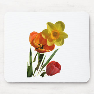 Röda tulpaner och gula narcissblommor musmatta