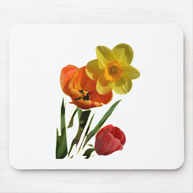 Röda tulpaner och gula narcissblommor musmatta (Framsidan)