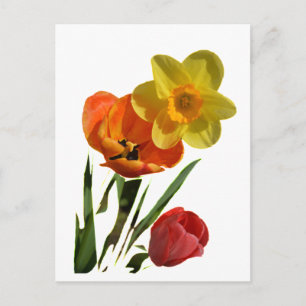 Röda tulpaner och gula narcissblommor vykort
