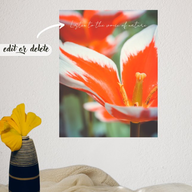 Röda tulpaner poster (Skapare uppladdad)