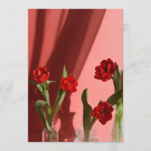 Röda tulpaner “Var min älskade?” Minimalistisk All