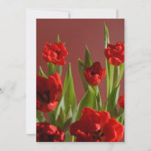 Röda tulpaner ”Var min älskade?” Minimalistisk All