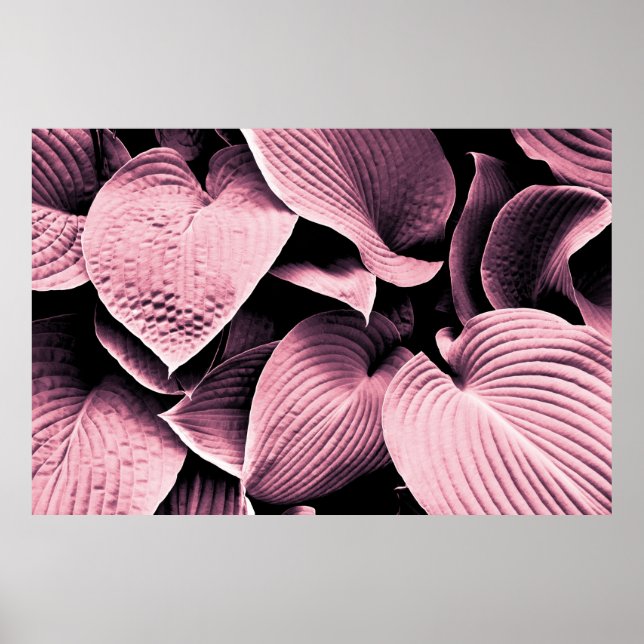 RÖDA UTSLÄPPSRÄTTER POSTER (Framsidan)