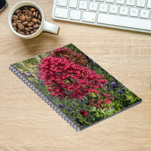 Röda Valerian Blommor Blommig Anteckningsbok