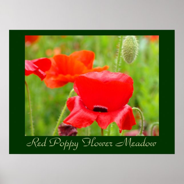 Röda vallmo blomsteräng konsttryck Vallmor Poster (Framsidan)