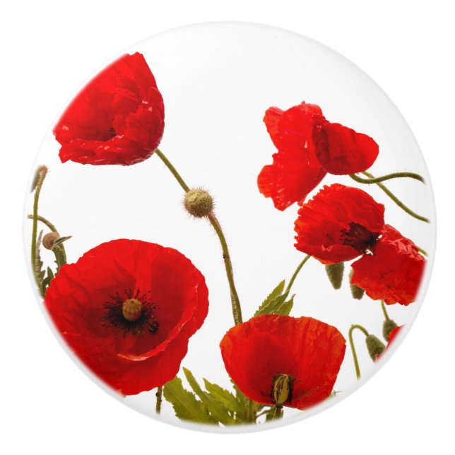 Röda vallmoblommor Färgstarka Blommigtar Abstrakt  Knopp (Framsidan)