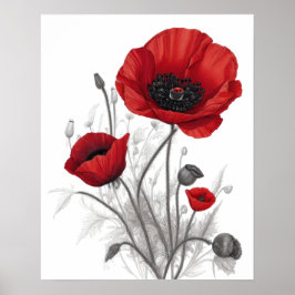 Röda vallmoblommor poster
