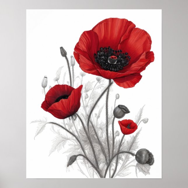 Röda vallmoblommor poster (Framsidan)