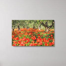 Röda vallmoblommor under gammal träd canvastryck
