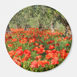 Röda vallmoblommor under gammal träd magnet