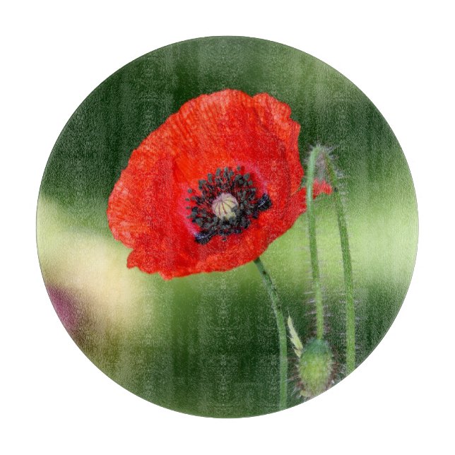 Röda vallmofrörund (Framsidan)