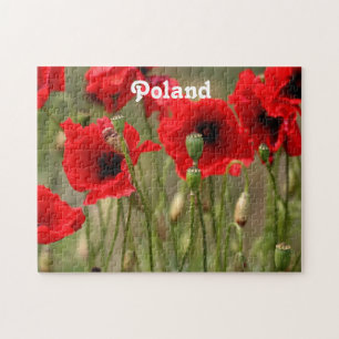 Röda vallmor i Polen Pussel