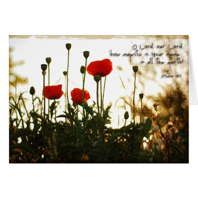 Röda vallmor på solnedgången hälsningskort (Framsidan Horizontal)