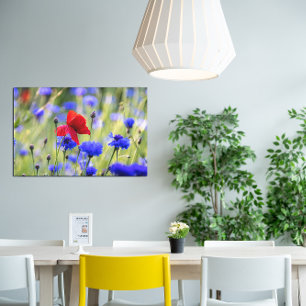Röda vallmovildblommor foto canvastryck