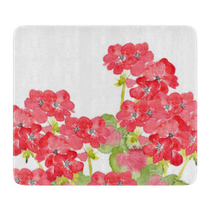 Röda vattenfärgpelargoner