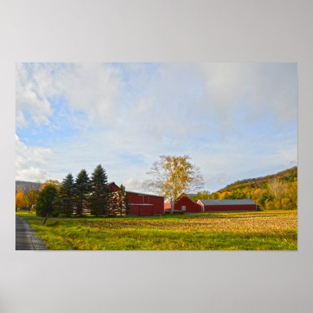 Röda Vermont lador på hösten Poster (Framsidan)