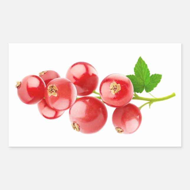 Röda vinbär rektangulärt klistermärke (Framsida)