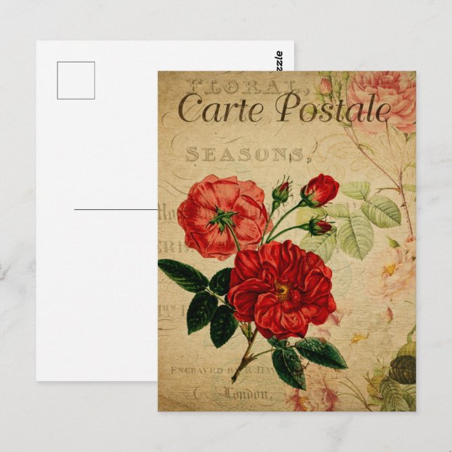 Röda Vintage Blommor Vykort (Fram/baksida)