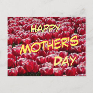 Röda vita tulips Mönster Mors dag-vykort Vykort