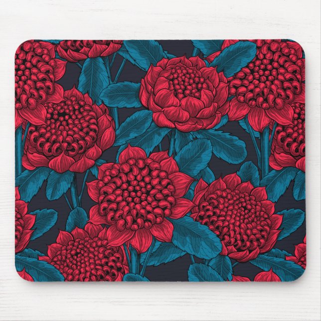 Röda waratah-blommor musmatta (Framsidan)