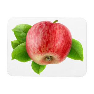 Rödäpple Magnet