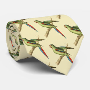 Rödaxad parakit slips