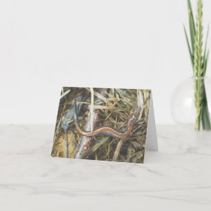 Rödbackat Salamander Note Card Helgkort