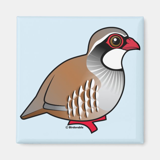 Rödbenad Partridge Magnet (Framsidan)