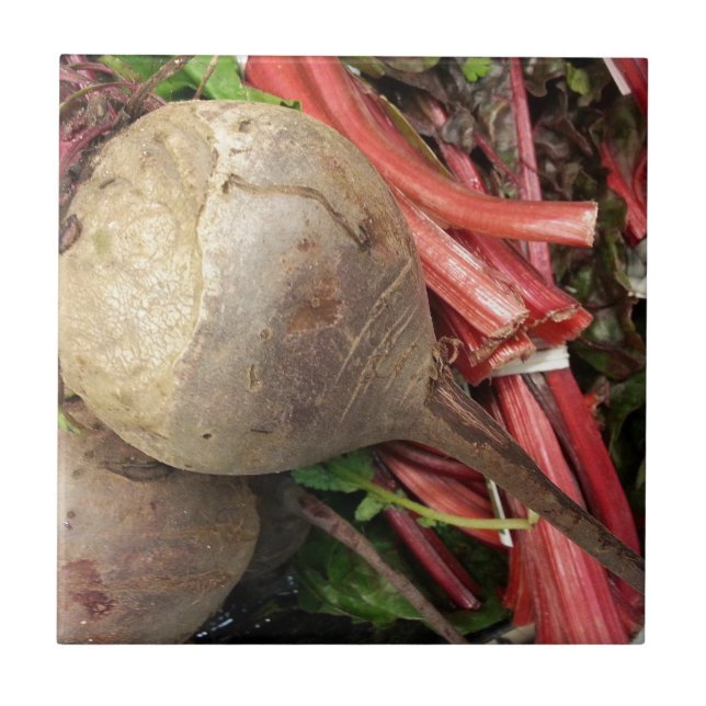 Rödbeta Kakelplatta (Framsidan)