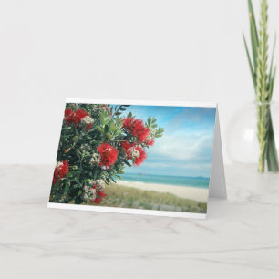 Rödblommor Parisstranden Nya Zeeland Sommar Helgkort