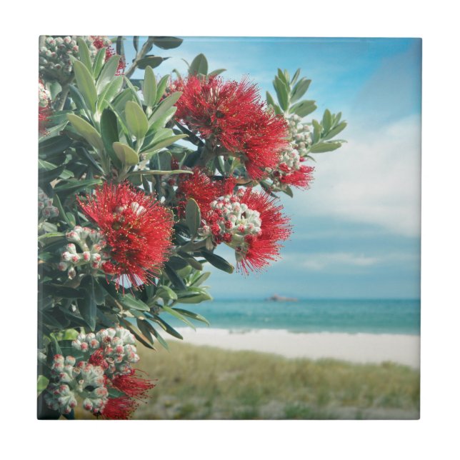 Rödblommor Parisstranden Nya Zeeland Sommar Kakelplatta (Framsidan)