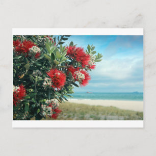 Rödblommor Parisstranden Nya Zeeland Sommar Vykort