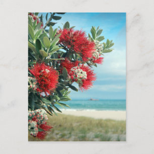 Rödblommor Parisstranden Nya Zeeland Sommar Vykort