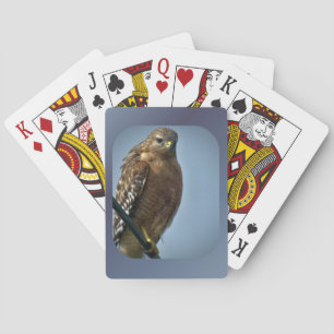 Rödbodd Hawk Casinokort