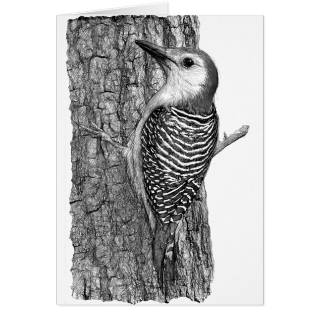 Rödböld Hälsningskort (Framsidan)