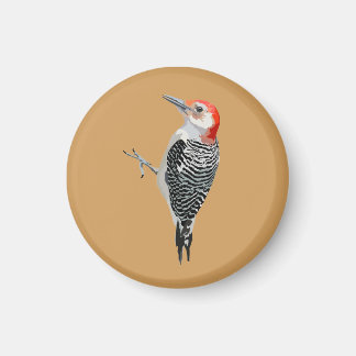 Rödböld Magnet