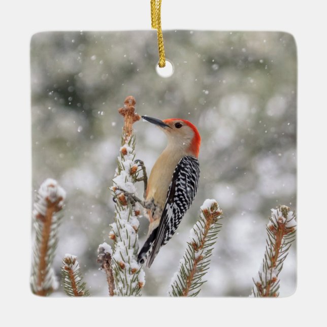 Rödböld Woodpecker i snö Julgransprydnad Keramik (Framsida)
