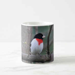 Rödbröstad Grosbeak mugg